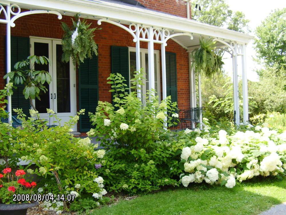 Mackechnie House Bed & Breakfast Cobourg Exterior photo